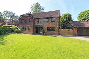 Photo 29- click for photo gallery